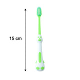 Kids Cartoon Spring Frog Toy With Toothbrush Set (2 Pc Set)